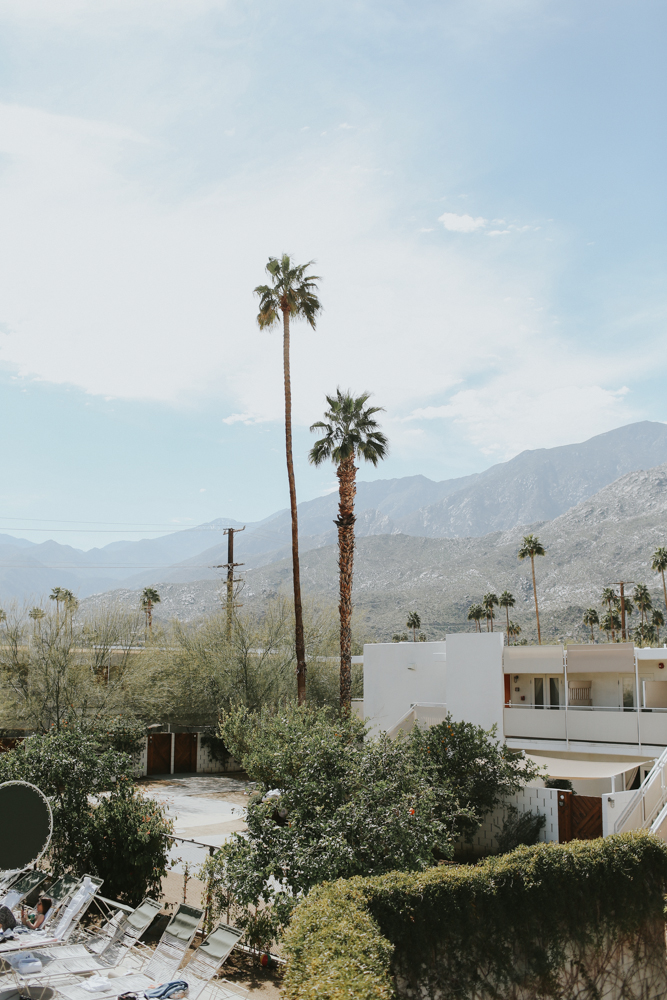 ace hotel engagement photos- palm springs engagement-madewell people style